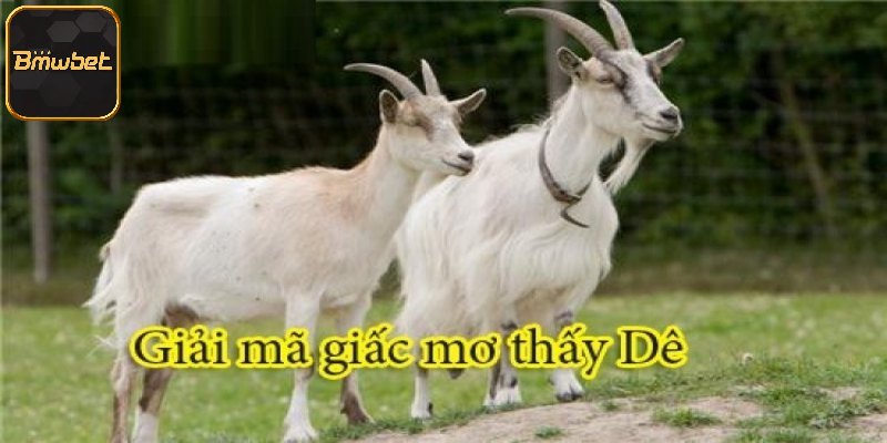 Luận giải chi tiết giấc mơ thấy dê