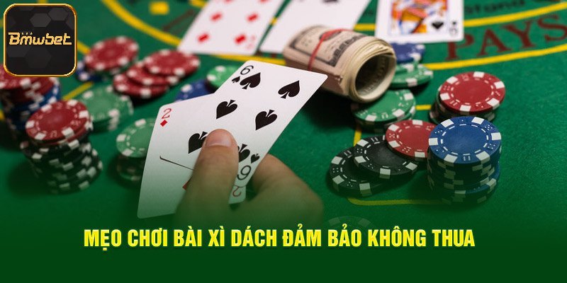 Mẹo chơi xì dách thông minh từ chuyên gia